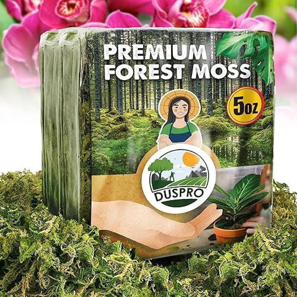 Duspro Dried Moss For Potted Plants Forest Orchid Moss For Potting Mix Sphagnum Potting Moss For Plants Indoor Real Moss Soil