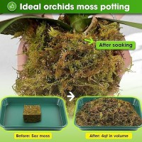 Duspro Dried Moss For Potted Plants Forest Orchid Moss For Potting Mix Sphagnum Potting Moss For Plants Indoor Real Moss Soil