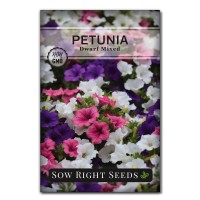 Sow Right Seeds Dwarf Mixed Petunia Seeds To Plant Full Instructions For Planting And Growing A Flower Garden Nongmo Heir