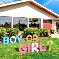 Chinco 10 Pieces Gender Reveal Party Decorations Supplies Baby Shower Plastic Yard Signs Outdoor Letters Lawn With Stakes For In