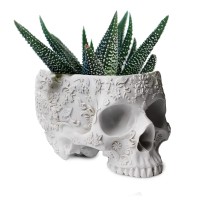 Halloween Skull Candy Dish Trick Or Treat Bowl Plant Planter Pot 6 Deep Polyresin Skulls Pot For Succulents Indoor Plants