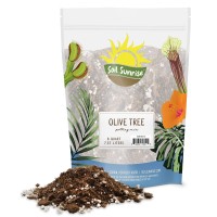 Olive Tree Potting Soil Mix 8 Quarts For Planting Repotting And Growing Olive Bushesplants