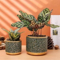 Ten-Stone 6 +4.4 Inch Cement Planter Decorative Pots With Drainage Hole For All House Plants  Succulents  Flowers  And Cactus (Green)