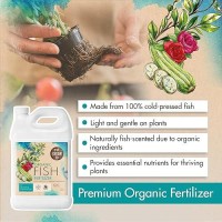 Organic Fish Fertilizer Liquid Fish Emulsion Food For Plants Flowers Fruits Vegetables 231 Npk Made From Sustainably