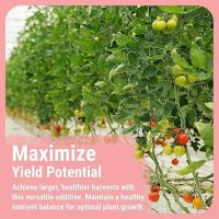 Cronk Nutrients Bud Booster Best Budding Fertilizer For Maximum Blooms Hydroponic Nutrients For The Bloom Phase Balanced P