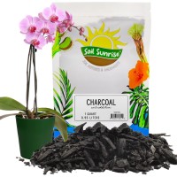 Horticultural Charcoal For Indoor Plants 1 Quart Hardwood Soil Additive For Orchids Terrariums And Gardening