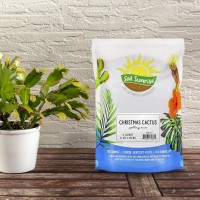 Christmas Cactus Potting Soil Mix 4 Quarts Hand Blended Soil For Indoor Houseplants Custom Blended