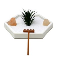 Nature'S Mark Mini Zen Garden Kit For Desk With White Sand  Rake  White Base  Salt Rock And Air Plant (Hexagon)