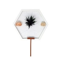 Nature'S Mark Mini Zen Garden Kit For Desk With White Sand  Rake  White Base  Salt Rock And Air Plant (Hexagon)