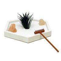 Nature'S Mark Mini Zen Garden Kit For Desk With White Sand  Rake  White Base  Salt Rock And Air Plant (Hexagon)