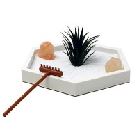 Nature'S Mark Mini Zen Garden Kit For Desk With White Sand  Rake  White Base  Salt Rock And Air Plant (Hexagon)