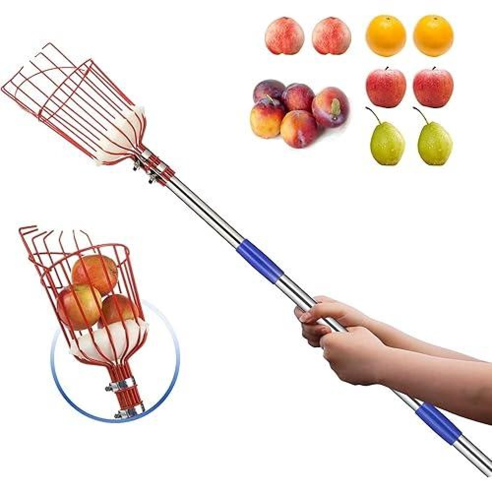 Fruit Picker Pole With Basket - 8 Foot Adjustable Height Fruit Picker Tool With Stainless Steel Fruit Picking Pole For Apple Cherry Berry Fit Orange Blueberry Mango Avocado Lemon Peach