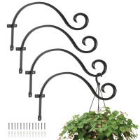 Mortime 4 Pack Hanging Plant Brackets 122 Inches Wall Mount Bird Feeder Hanger Plant Hook With Screws Metal Plant Hangers For