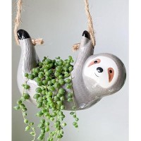 Aipogooin Sloth Hanging Planters Pots Indoor For Succulent Cactus Outdoor Ceramic Cute Flower Pot Holder Gardening Gifts For Wom