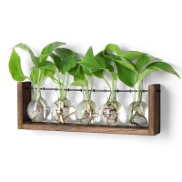 Yibot Plants Propagation Stations Plant Terrarium With Wooden Stand Wall Hanging Glass Planter Plant Propagation Vase For Indoor Office Home Garden Decor Plant Lover Gifts For Women-5 Bulbs