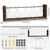 Yibot Plants Propagation Stations Plant Terrarium With Wooden Stand Wall Hanging Glass Planter Plant Propagation Vase For Indoor Office Home Garden Decor Plant Lover Gifts For Women-5 Bulbs