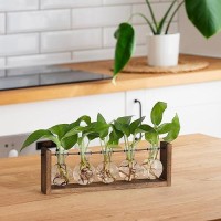 Yibot Plants Propagation Stations Plant Terrarium With Wooden Stand Wall Hanging Glass Planter Plant Propagation Vase For Indoor Office Home Garden Decor Plant Lover Gifts For Women-5 Bulbs