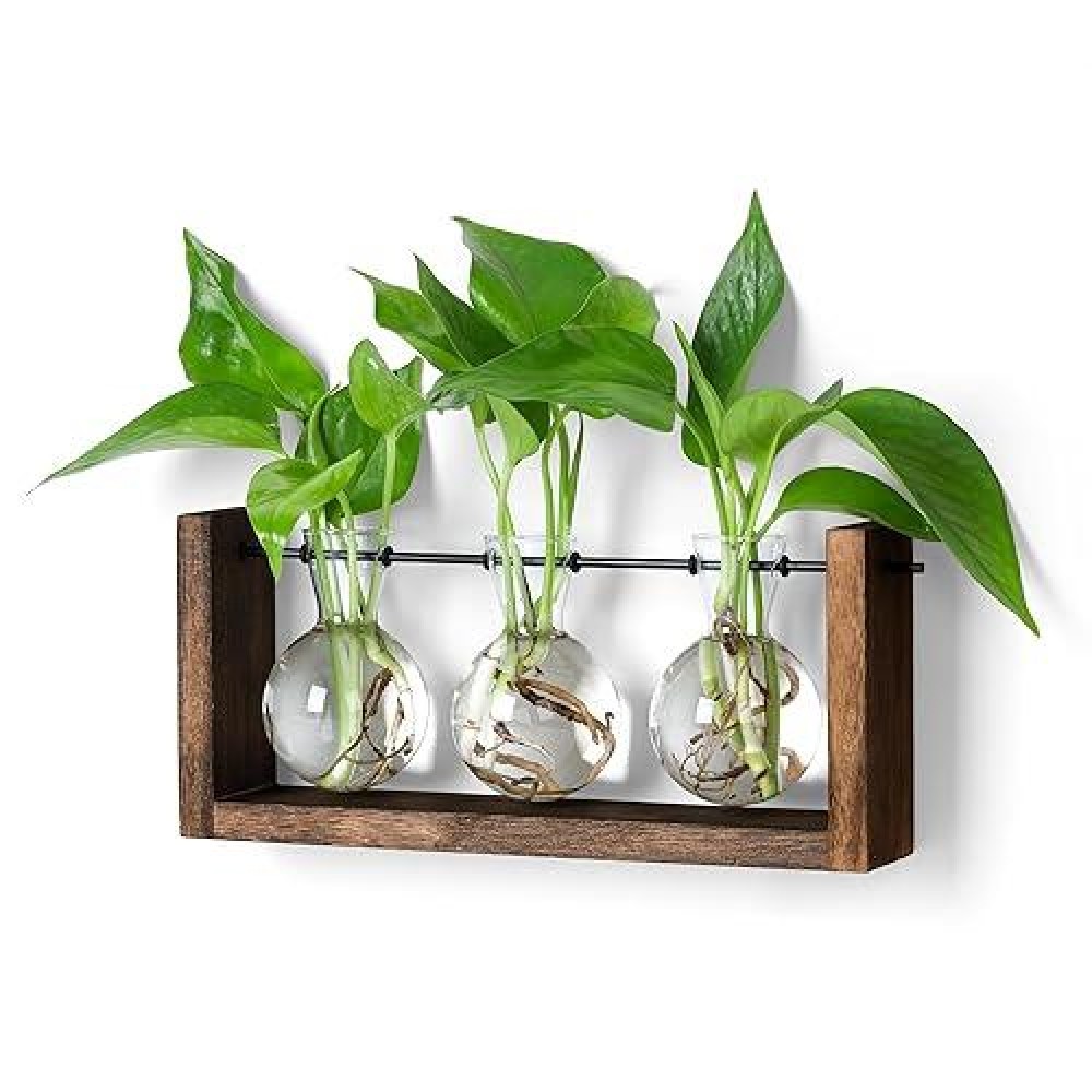 Yibot Plants Propagation Stations Plant Terrarium With Wooden Stand Wall Hanging Glass Planter Plant Propagation Vase For Indoor Office Home Garden Decor Plant Lover Gifts For Women