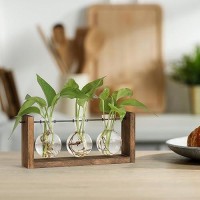 Yibot Plants Propagation Stations Plant Terrarium With Wooden Stand Wall Hanging Glass Planter Plant Propagation Vase For Indoor Office Home Garden Decor Plant Lover Gifts For Women