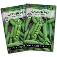 Sow Right Seeds Sugar Snap Pea Seeds For Planting Nongmo Heirloom Packet With Instructions To Plant A Home Vegetable Garden