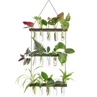 Ivolador Wall Hanging Planter Terrarium With Wooden Stand 3 Tiered Mini Test Tube Flower Vases Retro Hanging Glass Planter Prop