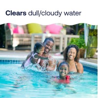 Hth 67080 Swimming Pool Care Drop Ou Flocculant Clears Cloudy Water Fast 32 Fl Oz Pack Of 1