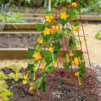 Docred Cucumber Trellis  2 Pack Foldable A Frame Trellis For Raised Bed Climbing Plants  Vegetables  Includes Plant Support Clips  Twist Ties  Plastic Ties- Made From Pvc-Coated Steel