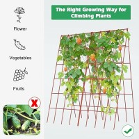 Docred Cucumber Trellis  2 Pack Foldable A Frame Trellis For Raised Bed Climbing Plants  Vegetables  Includes Plant Support Clips  Twist Ties  Plastic Ties- Made From Pvc-Coated Steel