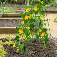 Docred Cucumber Trellis  2 Pack Foldable A Frame Trellis For Raised Bed Climbing Plants  Vegetables  Includes Plant Support Clips  Twist Ties  Plastic Ties- Made From Pvc-Coated Steel