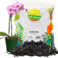 Horticultural Charcoal For Indoor Plants 8 Quarts Hardwood Soil Additive For Orchids Terrariums And Gardening