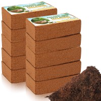 Legigo Pack Of 10 Organic Coco Coir Bricks 100 Natural Compressed Coco Peat Brick Coconut Fiber Substrate With Low Ecph Balan