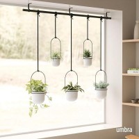 Umbra Triflora Hanging Planter For Window  Indoor Herb Garden  Set Of 5  White/Black