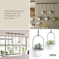 Umbra Triflora Hanging Planter For Window  Indoor Herb Garden  Set Of 5  White/Black