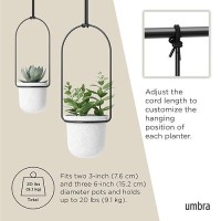 Umbra Triflora Hanging Planter For Window  Indoor Herb Garden  Set Of 5  White/Black