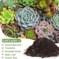 Halatool 6 Qt Organic Aloe Plant Soil Potting Mix Garden Top Succulent Soil For Indoor Outdoor Plants Bonsai Cactus Soil Potti