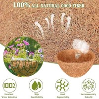 Halatool 6Pcs Coco Fiber Liner 10 Inch Coconut Fiber Planter Liner 100 Natural Coco Fiber Liners For Planters Round Coco Coir H