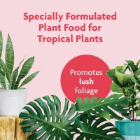 Miraclegro Tropical Houseplant Food Liquid Fertilizer For Tropical Houseplants 8 Fl Oz 2Pack