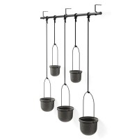 Umbra Triflora Hanging Planter For Window  Indoor Herb Garden  Set Of 5  Black