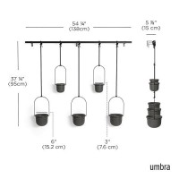 Umbra Triflora Hanging Planter For Window  Indoor Herb Garden  Set Of 5  Black