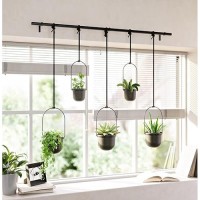 Umbra Triflora Hanging Planter For Window  Indoor Herb Garden  Set Of 5  Black