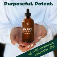 Big Leaf Energy 4 Oz Trial Size Readytouse Spray For Plant Wellness Organic Leaf Shine And Bio Protectant