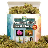 Duspro Big Bag Dried Forest Moss For Plant Propagation Sphagnum Moss Bulk For Orchid Repotting Mix Organic Soil Medium Bale Prem