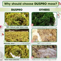 Duspro Big Bag Dried Forest Moss For Plant Propagation Sphagnum Moss Bulk For Orchid Repotting Mix Organic Soil Medium Bale Prem