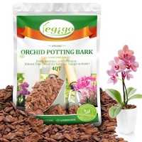 Legigo 4 Quarts Organic Orchid Potting Bark All Natural Orchid Bark Potting Mix Pine Bark Wood Chips For Houseplant Mulch Orch