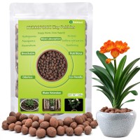 Halatool 10 Lb Organic Clay Pebbles 4Mm16Mm Leca For Plants 100 Natural Hydroton Clay Pebbles For Hydroponic Growing Gardening