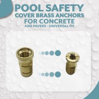 Bargain Brass Poolzilla Pool Safety Cover Brass Anchors For Concrete And Pavers 25 Pack Universal Fit