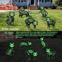 Outdoor Halloween Decorations Yard Signs 5Pcs Glow In The Dark Skeleton Black Cat Silhouette Lawn Signs With Stakes For Hallow