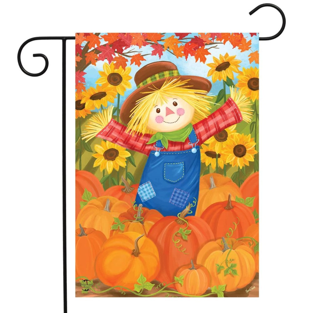 Briarwood Lane Happy Fall Scarecrow Garden Flag Pumpkins Autumn 125 X 18