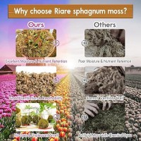 Riare 53 Oz Premium Sphagnum Moss For Plants 6Qt Natural Long Fiber Sphagnum Peat Moss Dried Plants Moss Orchid Potting Mix F