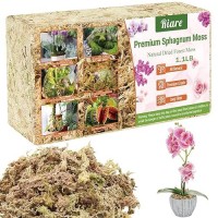 Riare 11 Lbs Premium Sphagnum Moss Natural Long Fibered Sphagnum Peat Moss Plants Moss Dried Carnivorous Plants Moss Orchid P